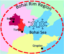 Graphical abstract: Levels and distributions of PBDEs and PCBs in sediments of the Bohai Sea, North China