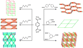Graphical abstract: Synthesis and characterization of metal complexes with a mixed 4-imidazole-containing ligand and a variety of multi-carboxylic acids
