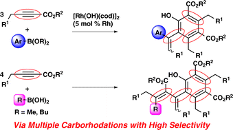 Graphical abstract: Rhodium-catalyzed aryl- and alkylation–oligomerization of alkynoates with organoboron reagents giving salicylates