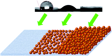 Graphical abstract: Superhydrophilic and solvent resistant coatings on polypropylene fabrics by a simple deposition process