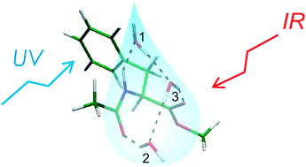 Graphical abstract: Investigations of the water clusters of the protected amino acid Ac-Phe-OMe by applying IR/UV double resonance spectroscopy: microsolvation of the backbone