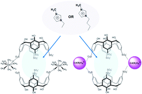 Graphical abstract: Lanthanoid assisted self-assembly of imidazolium cations in organic bi-layers