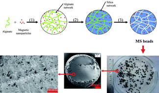 Graphical abstract: Highly porous and monodisperse magnetic silica beads prepared by a green templating method