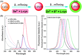 Graphical abstract: Fabrication of near-infrared-emitting CdSeTe/ZnS core/shell quantum dots and their electrogenerated chemiluminescence