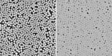 Graphical abstract: Packing structure of a two-dimensional granular system through the jamming transition