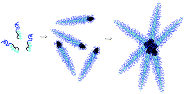 Graphical abstract: A twist on amphiphilicity yields sticky supramolecular cones