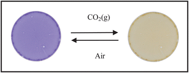 Graphical abstract: Water-based colourimetric optical indicators for the detection of carbon dioxide