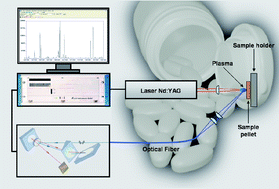 Graphical abstract: Evaluation of laser induced breakdown spectrometry for the determination of macro and micronutrients in pharmaceutical tablets