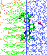 Graphical abstract: BTP-based ligands and their complexes with Eu3+ at “oil”/water interfaces. A molecular dynamics study