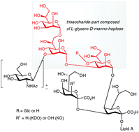 Graphical abstract: Towards the synthesis of a Yersinia pestis cell wall polysaccharide: enantioselective synthesis of an l-glycero-d-manno-heptose building block