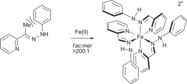 Graphical abstract: fac-Specific syntheses of homochiral [Fe(NN′)3]2+ complexes (NN′ = pyridine keto-hydrazone); origins of the stereoselectivity