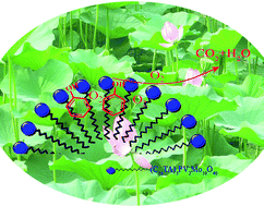 Graphical abstract: Degradation of phenol accumulated in a micellar molybdovanadophosphate nanoreactor by air at ambient temperature and atmospheric pressure