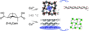 Graphical abstract: Hydro(solvo)thermal synthesis of homochiral metal–camphorate coordination polymers