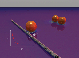 Graphical abstract: Approaching the electromagnetic mechanism of surface-enhanced Raman scattering: from self-assembled arrays to individual gold nanoparticles