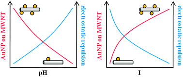 Graphical abstract: Nanoparticle-nanotube electrostatic interactions in solution: the effect of pH and ionic strength