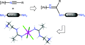 Graphical abstract: One-end nucleophilic addition of di- and triamines to PtIV-coordinated nitriles as an entry to (amidine)PtIV complexes bearing pendant NH2-groups