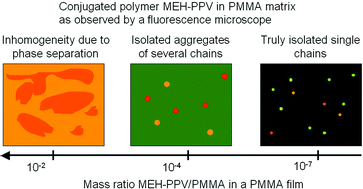 Graphical abstract: Single chain versus single aggregate spectroscopy of conjugated polymers. Where is the border?