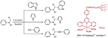 Graphical abstract: Highly efficient oxidative carbon–carbon coupling with SBA-15-support iron terpyridine catalyst