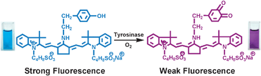 Graphical abstract: A near-infrared fluorescent probe for monitoring tyrosinase activity