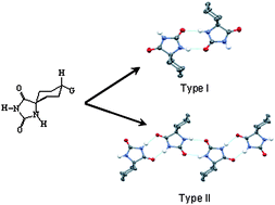 Graphical abstract: Supramolecular arrangements based on cyclohexane-5-spirohydantoin derivatives