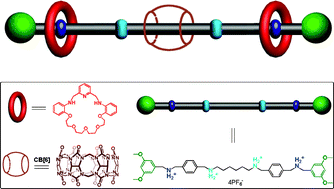 Graphical abstract: Efficient synthesis of a hetero[4]rotaxane by a “threading-stoppering-followed-by-clipping” approach