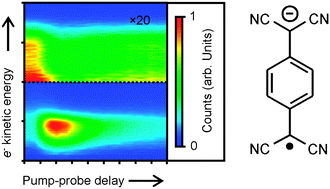 Graphical abstract: Spectroscopy and dynamics of the 7,7,8,8-tetracyanoquinodimethane radical anion