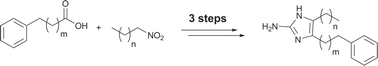 Graphical abstract: A nitroenolate approach to the synthesis of 4,5-disubstituted-2-aminoimidazoles. Pilot library assembly and screening for antibiotic and antibiofilm activity