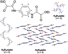 Graphical abstract: Topological control in the hydrogen bond-directed self-assembly of ortho-, meta-, and para-phenylene-substituted dioxamic acid diethyl esters