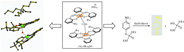 Graphical abstract: Isolation and characterization of a new type of μ-hydroxo-bis-Zn(salphen) assembly