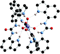 Graphical abstract: Anion receptor chemistry: highlights from 2008 and 2009