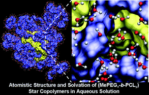Graphical abstract: Systematic design of unimolecular star copolymer micelles using molecular dynamics simulations
