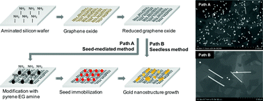 Graphical abstract: The direct growth of gold rods on graphene thin films
