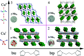 Graphical abstract: Tailoring microstructures of isopolymolybdates: regular tuning of the ligand spacer length and metal coordination preferences