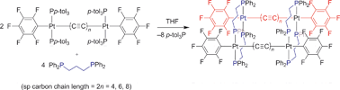 Graphical abstract: Towards multistranded molecular wires: Syntheses, structures, and reactivities of tetraplatinum bis(polyynediyl) complexes with  [[upper bond 1 start]] Pt-Cx-Pt-(P(CH2)3P)2-Pt-Cx-Pt-(P(CH2)3P [[upper bond 1 end]] )2 cores (x = 4, 6, 8)