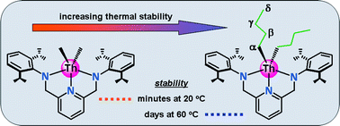 Graphical abstract: A thermally robust di-n-butyl thorium complex with an unstable dimethyl analogue