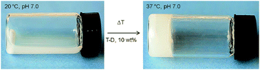 Graphical abstract: Oligo(amidoamine)s hydrogels with tunable gel properties