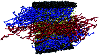 Graphical abstract: Interactions between polymer brushes and a polymer solution: mesoscale modelling of the structural and frictional properties