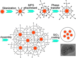 Graphical abstract: Bright, non-blinking, and less-cytotoxic SiO2 beads with multiple CdSe/ZnS nanocrystals