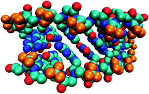 Graphical abstract: The structure of a γ-modified peptide nucleic acid duplex