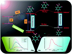 Graphical abstract: Fluorescence and solvent-dependent phosphorescence studies of o-nitrobenzaldehyde: A combined experimental and theoretical investigation
