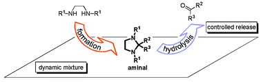 Graphical abstract: Reversible formation of aminals: a new strategy to control the release of bioactive volatiles from dynamic mixtures