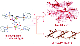 Graphical abstract: [Fe(phen)(CN)4]−: a suitable metalloligand unit to build 3d–4f heterobimetallic complexes with mixed bpym-cyano bridges (phen = 1,10-phenantroline, bpym = 2,2′-bipyrimidine)