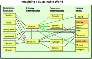 Graphical abstract: Bioenergy: in search of clarity