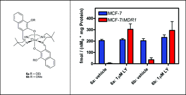 Graphical abstract: Synthesis, molecular structure, and validation of metalloprobes for assessment of MDR1 P-glycoprotein-mediated functional transport