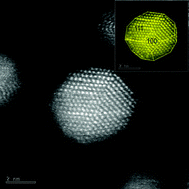 Graphical abstract: Kinetics of electrocatalytic reduction of oxygen and hydrogen peroxide on dispersed gold nanoparticles