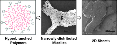 Graphical abstract: Facile fabrication of narrowly-distributed polymeric micelles via host–guest inclusion complexation of hyperbranched polymers and cyclodextrin and its two-dimensional self-assembly