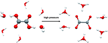 Graphical abstract: The α and β forms of oxalic acid di-hydrate at high pressure: a theoretical simulation and a neutron diffraction study