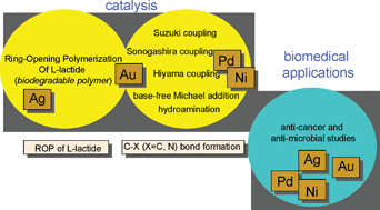Graphical abstract: Fascinating frontiers of N/O-functionalized N-heterocyclic carbene chemistry: from chemical catalysis to biomedical applications