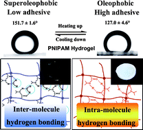 Graphical abstract: Thermal-responsive hydrogel surface: tunable wettability and adhesion to oil at the water/solid interface