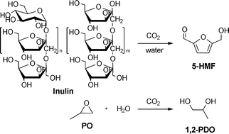 Graphical abstract: Effect of CO2 on conversion of inulin to 5-hydroxymethylfurfural and propylene oxide to 1,2-propanediol in water